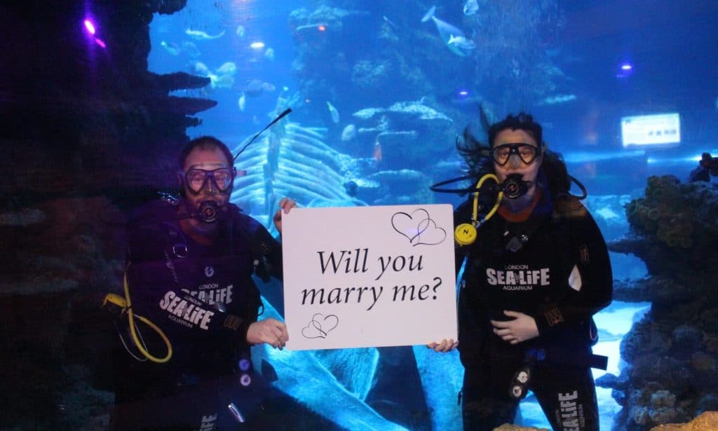 Propose in London at SEA LIFE